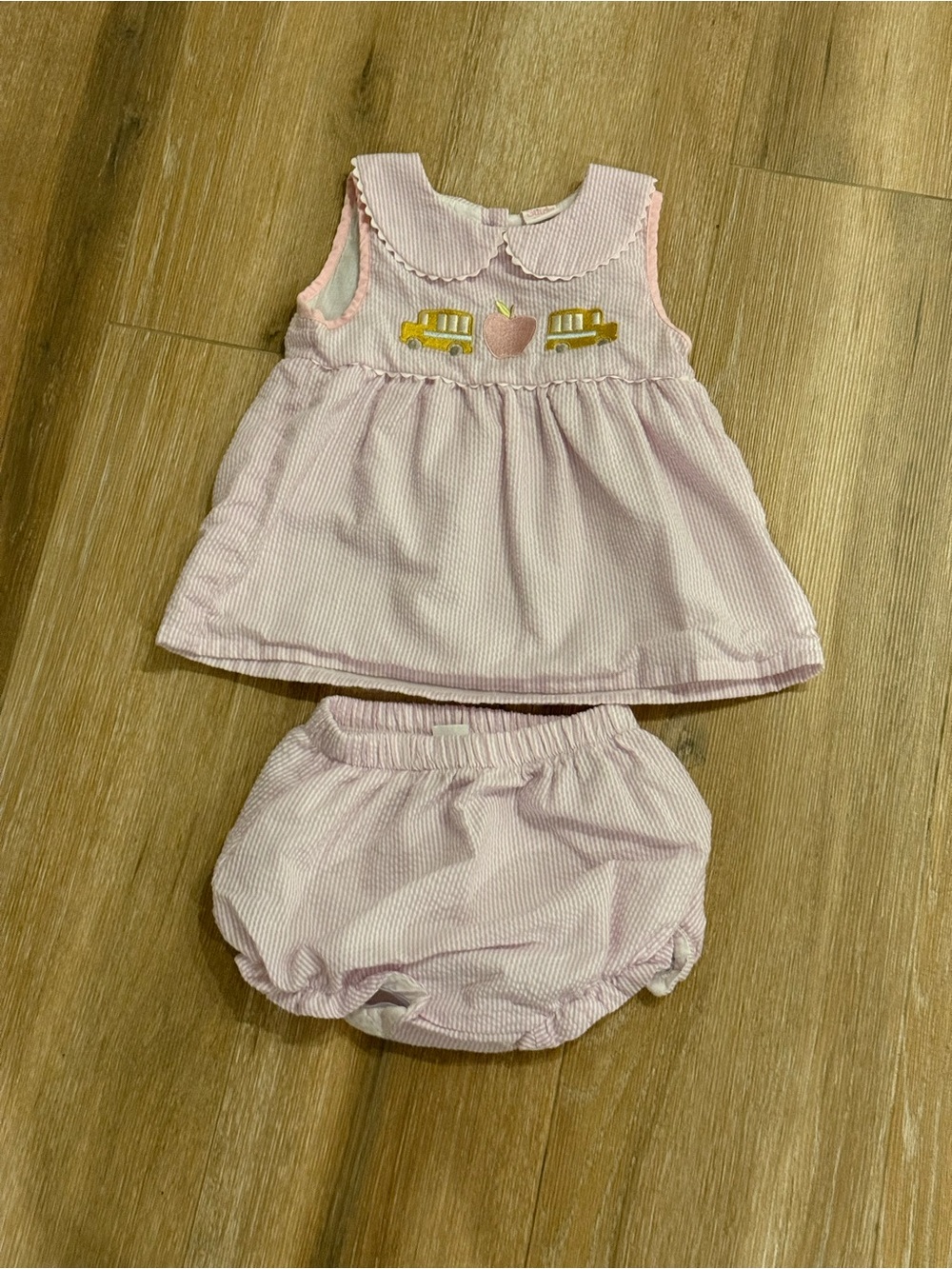 Stitchy Fish Pink Seersucker School Bus Outfit
